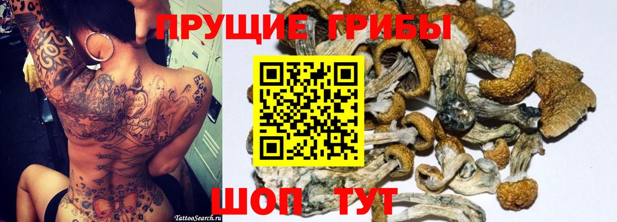 Конаково  Псилоцибиновые грибы MAGIC MUSHROOMS  Вход с VPN  Псилоцибиновые грибы ЛСД 