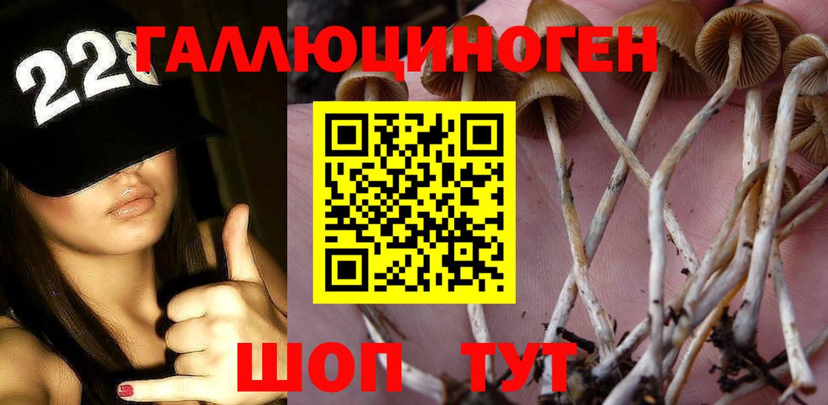Псилоцибиновые грибы мицелий Конаково
